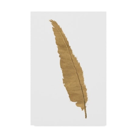 Chris Paschke 'Pure Gold Feather Vi' Canvas Art,16x24